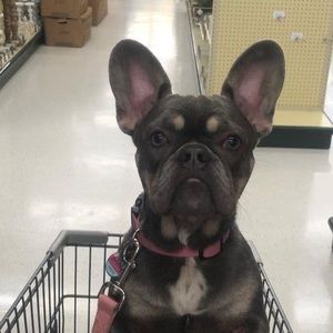 Meet your Posher, Debbie